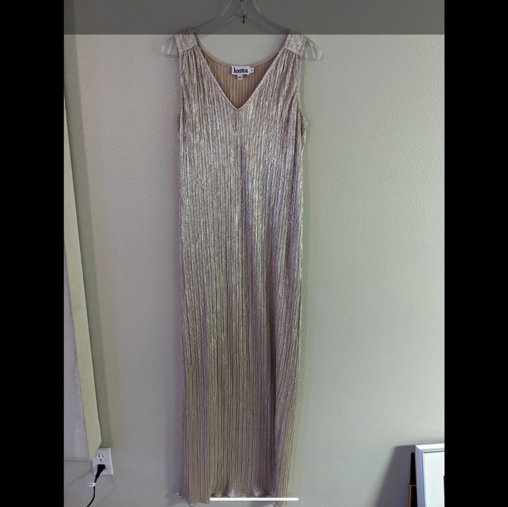 Shimmery Leota Maxi Dress